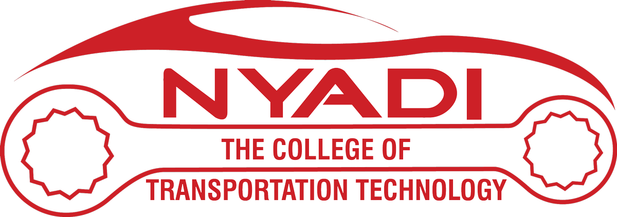 NYADI logo