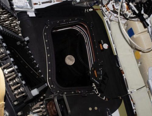 The Best Content Your Brand Will Ever Make Is Already Living Inside Your Team